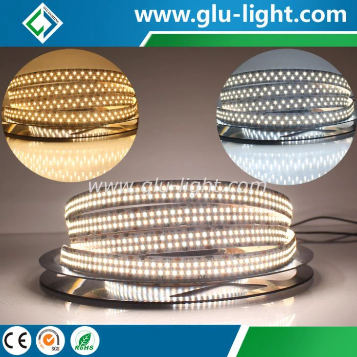 24V Dot free 560leds/m CCT dimmable 560leds/m 2216 led strip, high brightness W+WW 2216 led strip